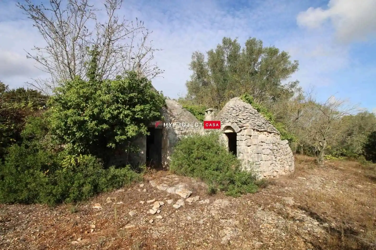 Rustico - Casale in vendita a Martina Franca