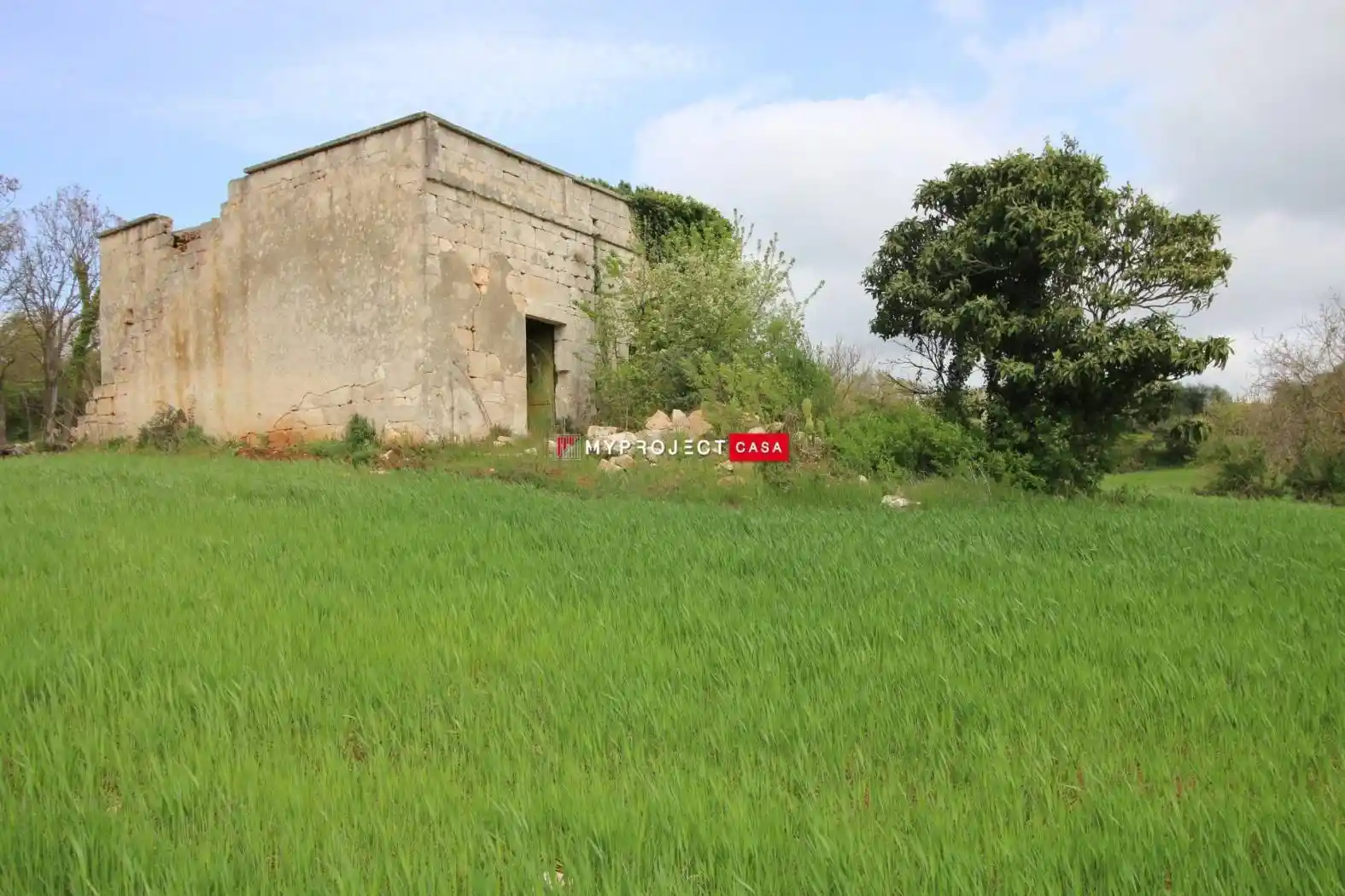 Rustico - Casale in vendita a Ceglie Messapica