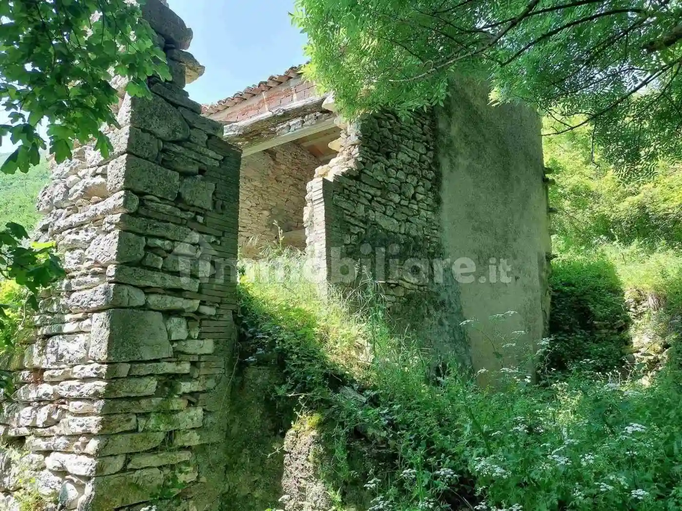 Rustico - Casale - foto 5