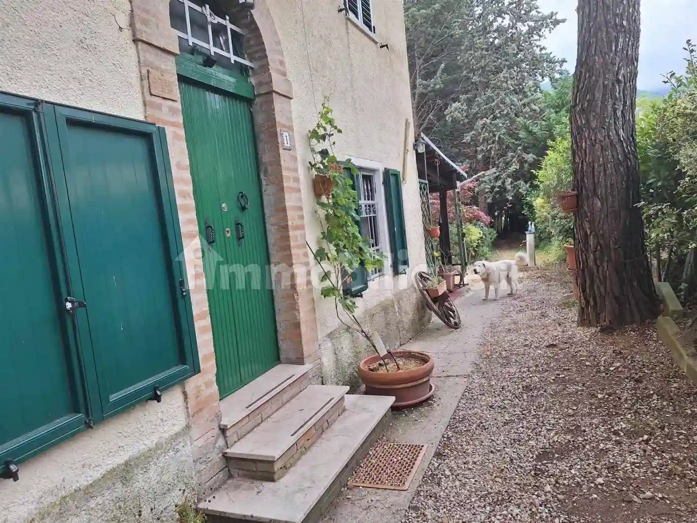 Casa indipendente - foto 4