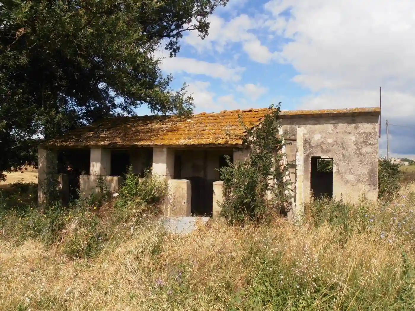 Rustico - Casale - foto 3