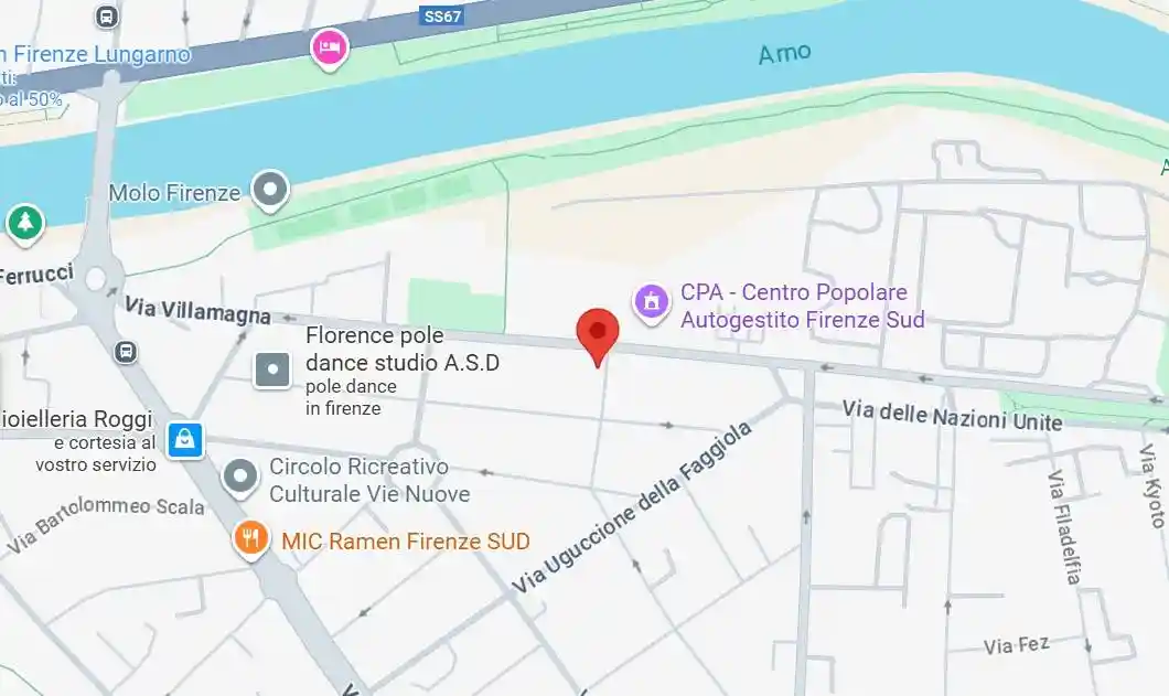 Appartamento all'asta via Baldo Ruffoli 2, Firenze - foto 2