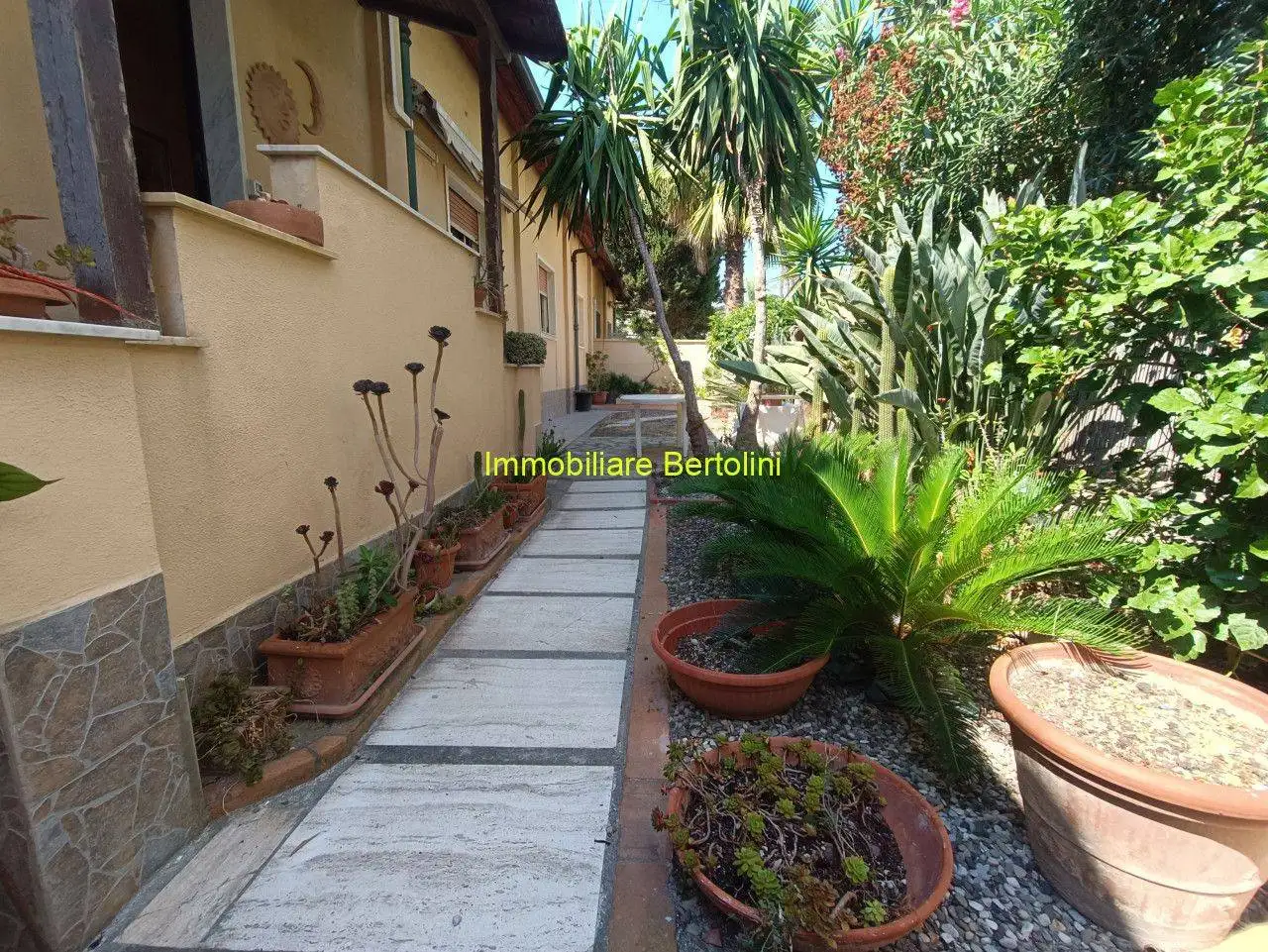 Appartamento in affitto a Bordighera