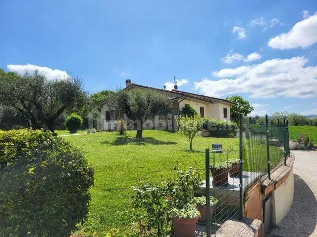 Palazzo - Edificio in vendita a Serra de' Conti
