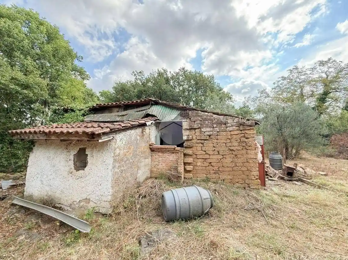 Rustico - Casale in vendita a Nepi