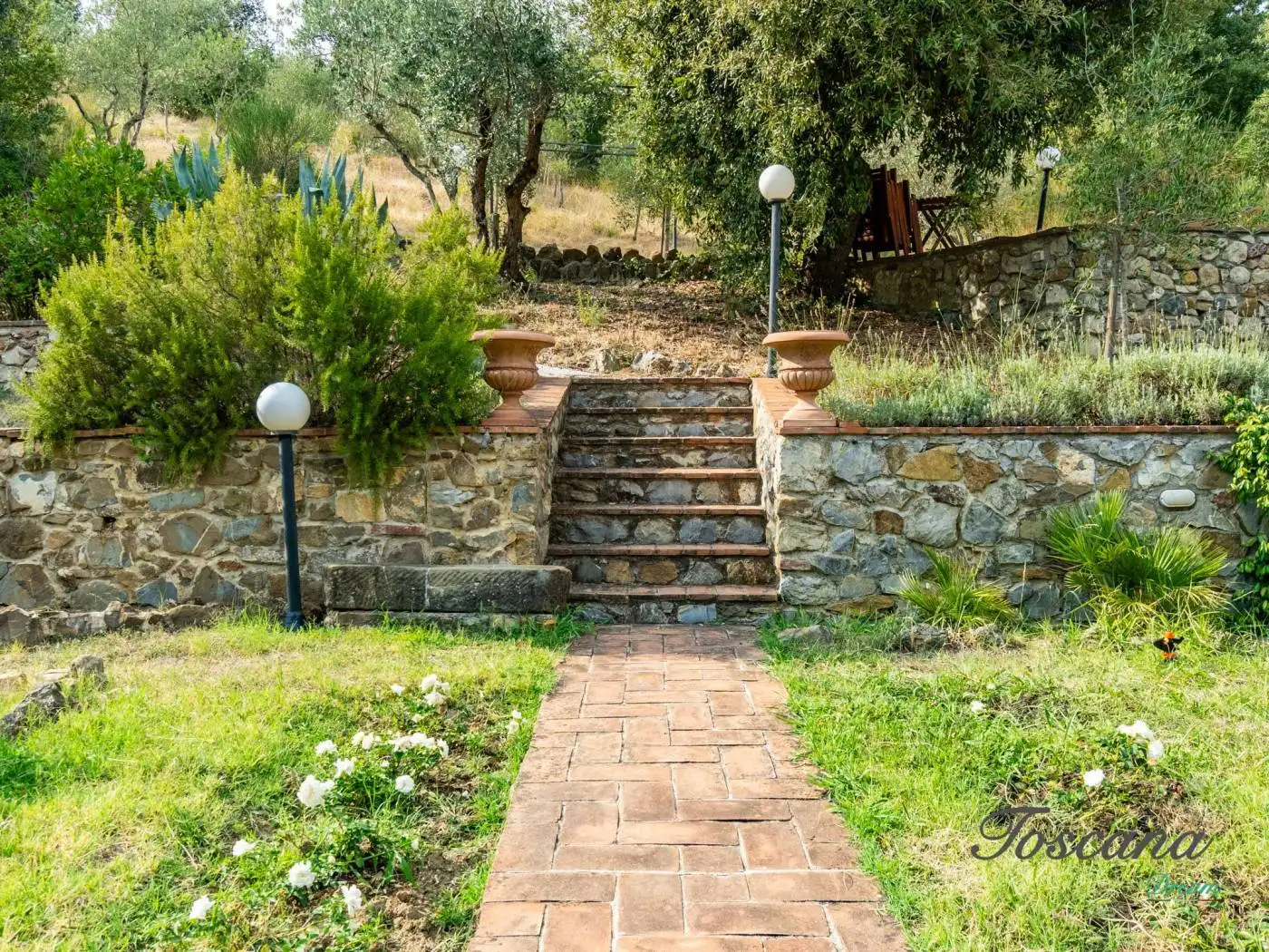 Casale via del Giro 11, Civitella Paganico - foto 3