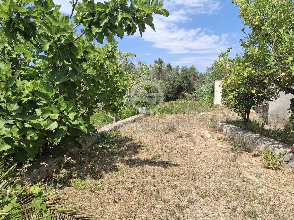 Villa unifamiliare Contrada Santa Caterina, Santa Caterina, Ramunno, Chianchizzo, Ostuni - foto 5