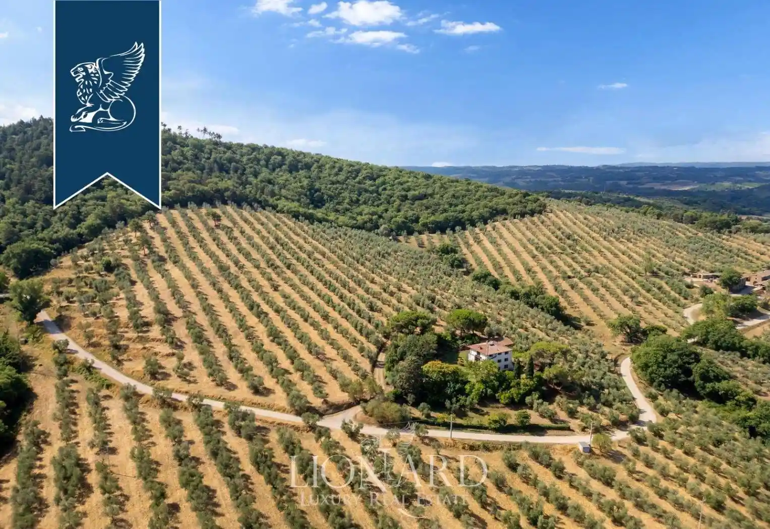 Villa unifamiliare, buono stato, 2620 m², Villastrada, Castiglione del Lago - foto 3