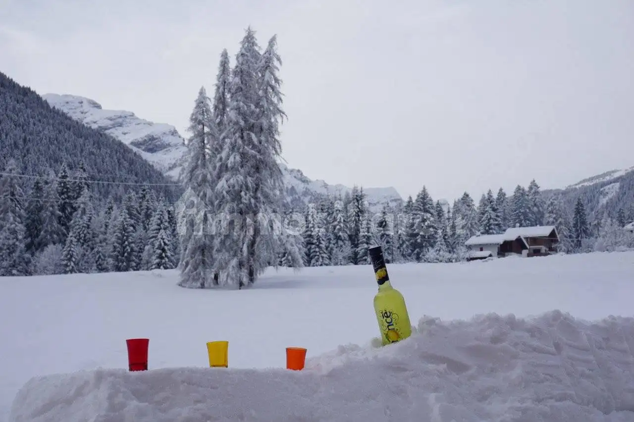 Casa indipendente in vendita a Falcade