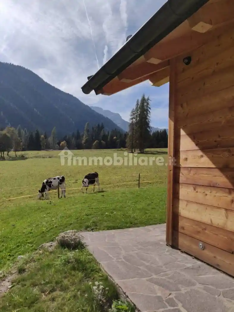 Terratetto unifamiliare 150 m², nuova, Caviola, Falcade - foto 3