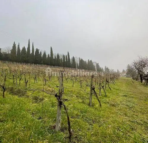 Rustico - Casale in vendita a Bertinoro