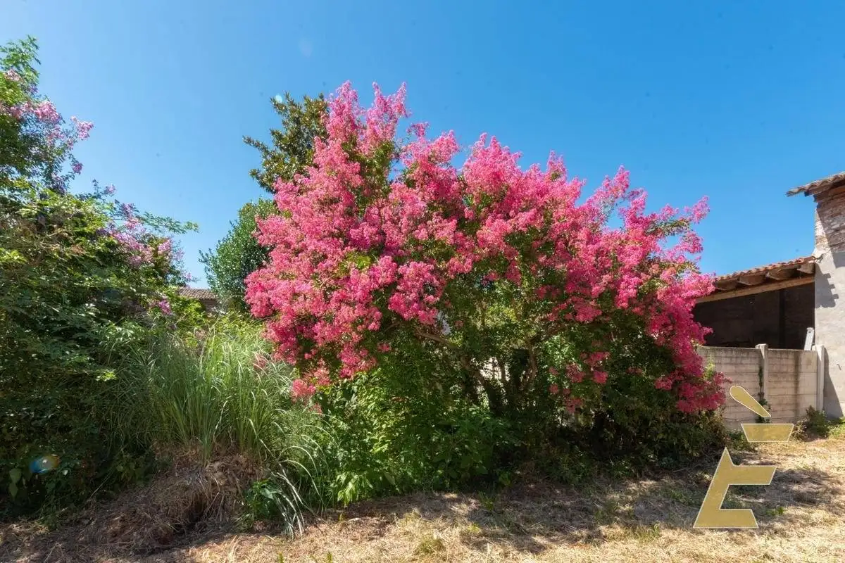 Rustico via Trieste 22, Centro, Bassignana - foto 4