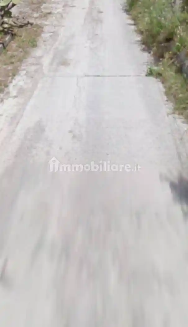 Rustico - casale all'asta Contrada Oliveto, Siderno - foto 3