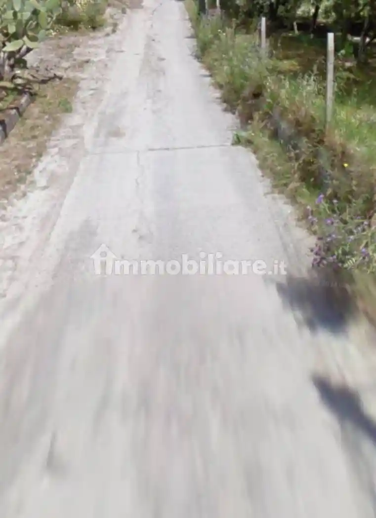Rustico - casale all'asta Contrada Oliveto, Siderno - foto 4