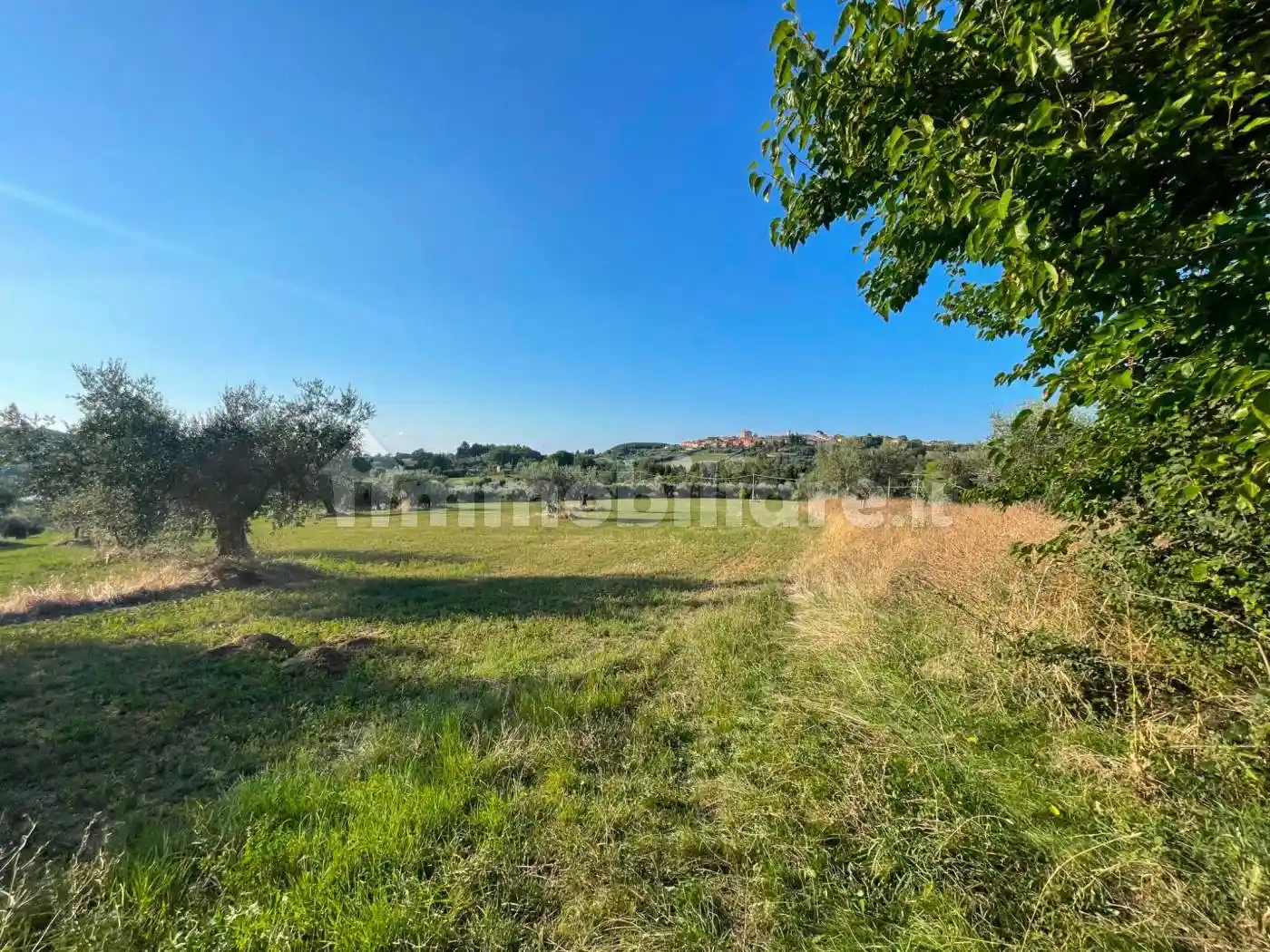 Casa colonica Strada Comunale delle Grazie, Scapezzano, Cannella, Roncitelli, Senigallia - foto 4