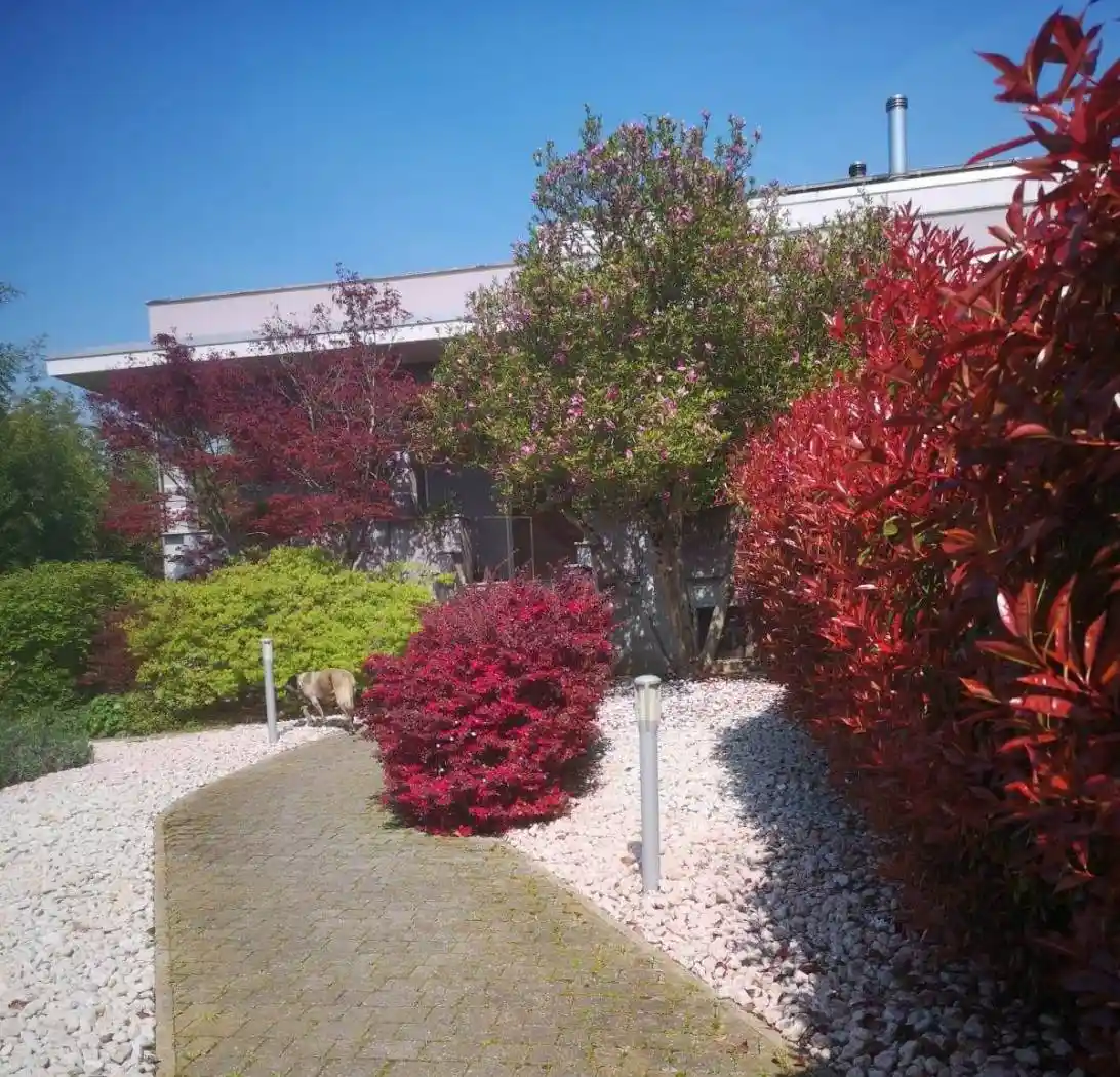 Villa in vendita a Vigevano