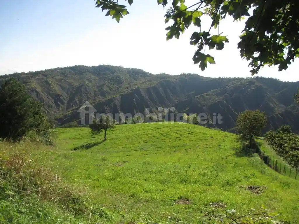 Rustico Strada Provinciale di Varano-Solignano, Varano de' Melegari - foto 2