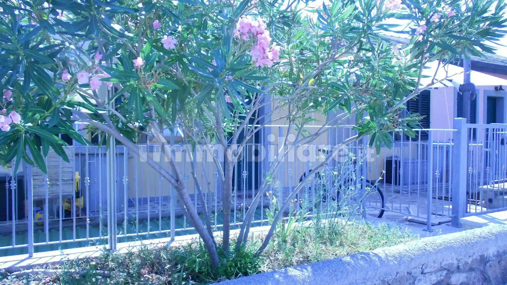 Bilocale Strada Provinciale Capraia Isola 7, Centro, Capraia Isola - foto 3