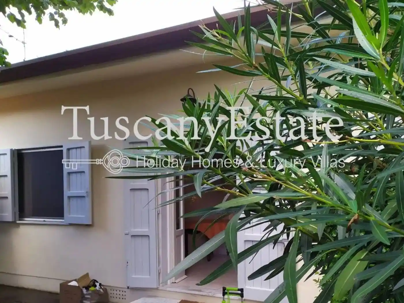 Appartamento in affitto a Pietrasanta