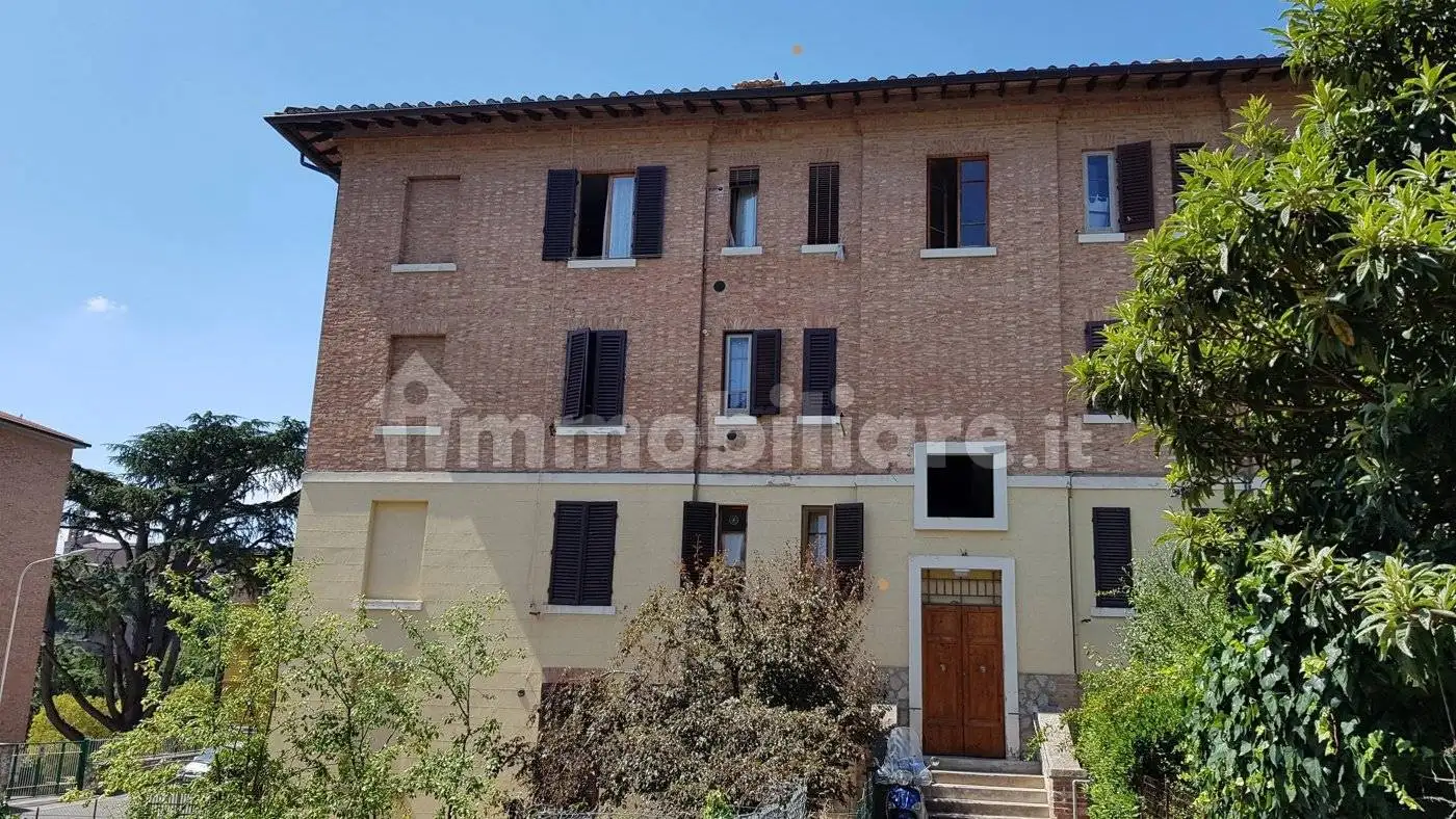 Appartamento in affitto a Siena