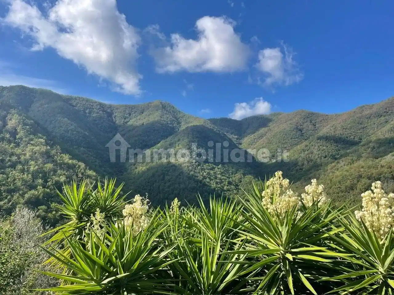Sasso frazione Ubaghetta, Borghetto d'Arroscia - foto 2