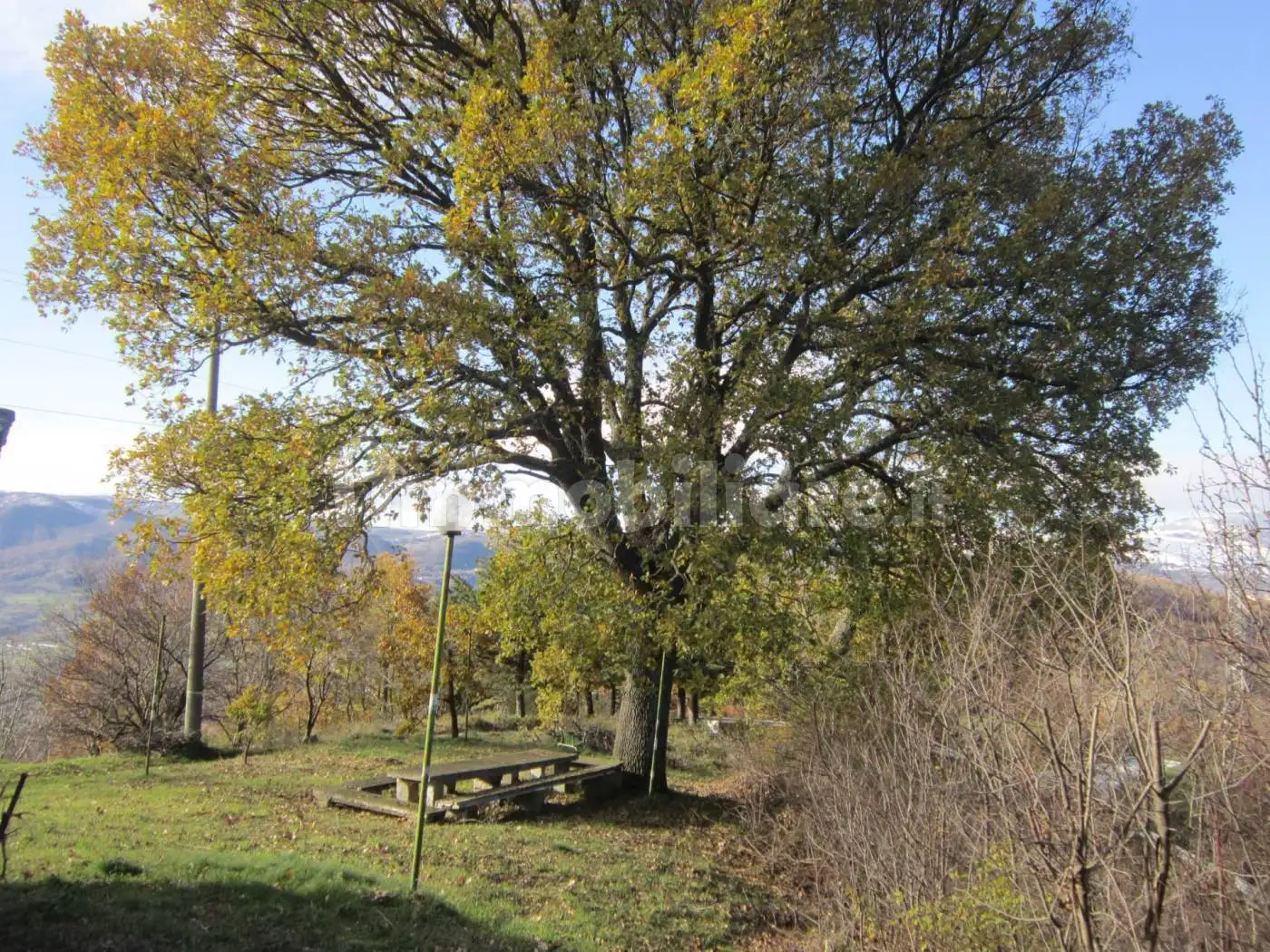 Rustico Contrada Castelnuovo, Agnone - foto 5