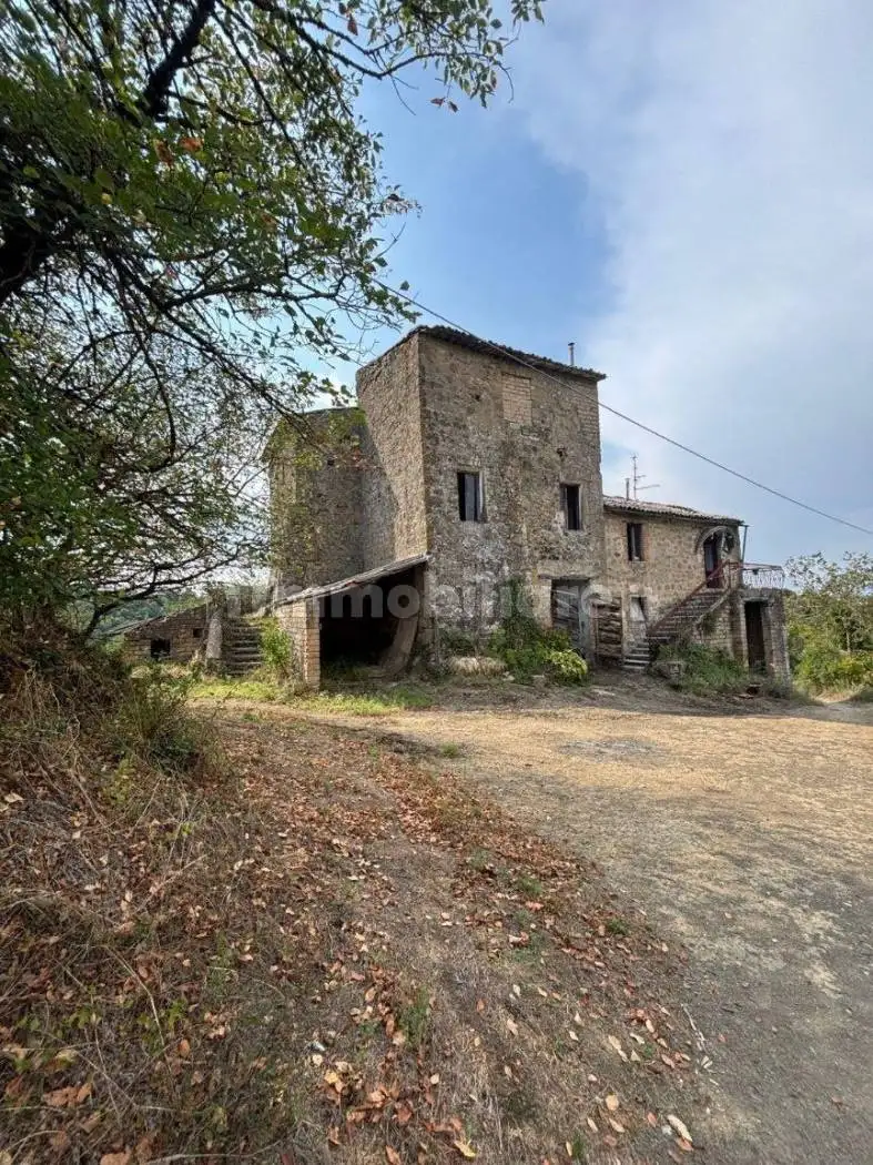 Rustico - Casale in vendita a Grotte di Castro