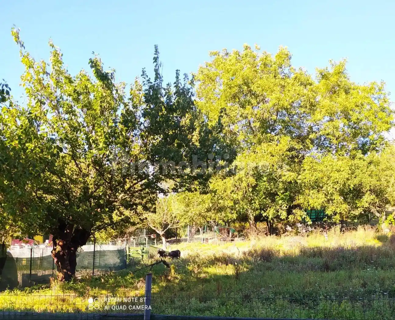 Appartamento in vendita a Ovada