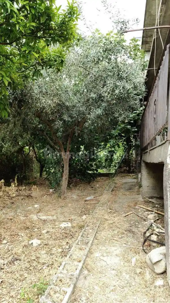 Appartamento in vendita a Petilia Policastro