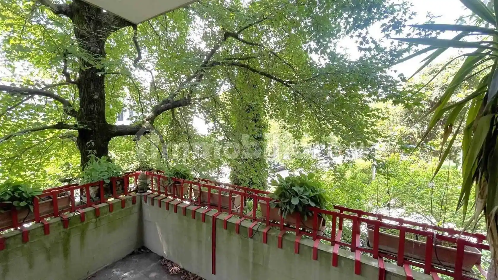 Appartamento buono stato, Città Giardino, Padova - foto 3