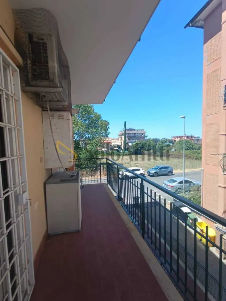 Appartamento in affitto a Ladispoli