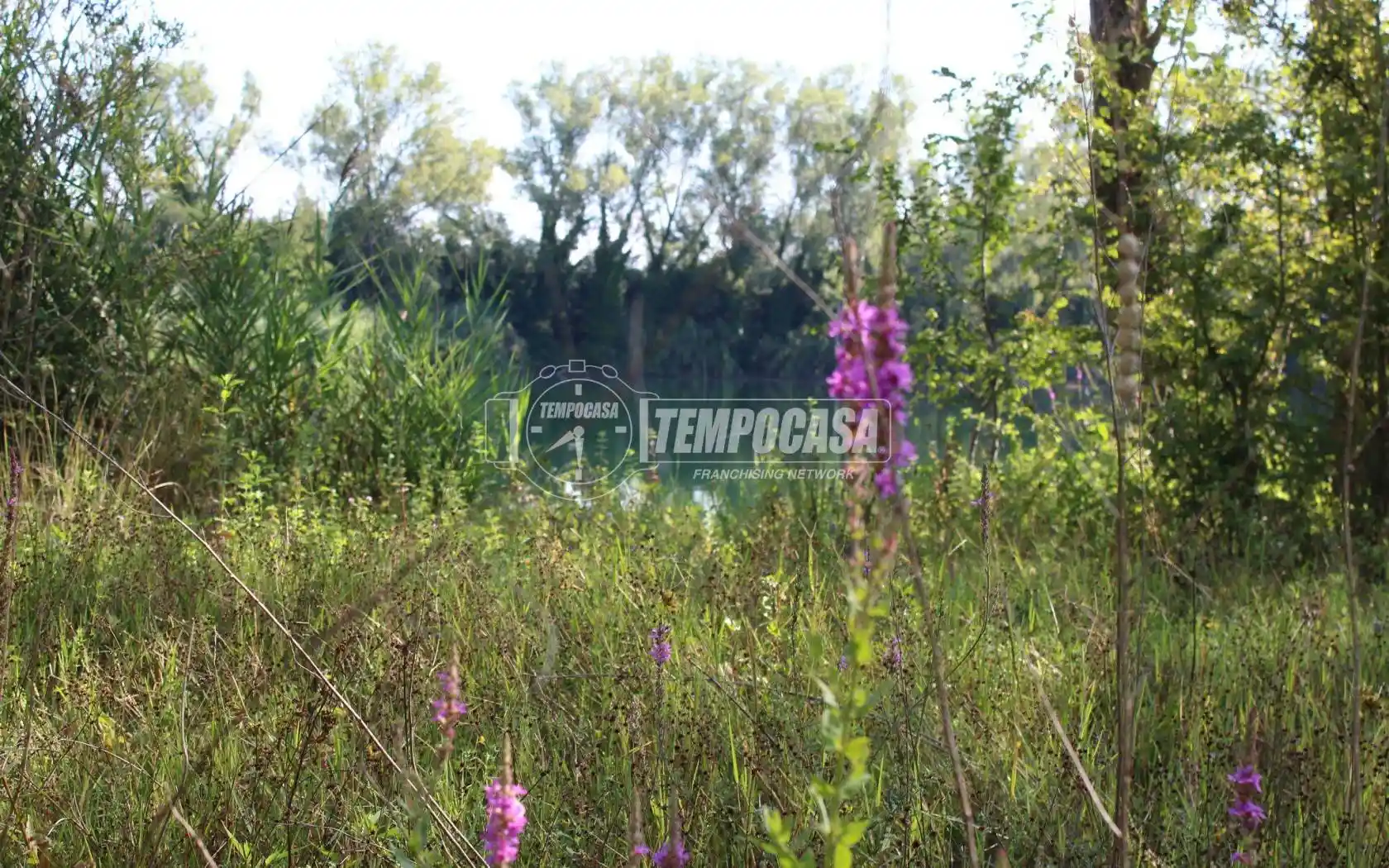 Casa colonica via Coppetella 81, Coppetella, Jesi - foto 2