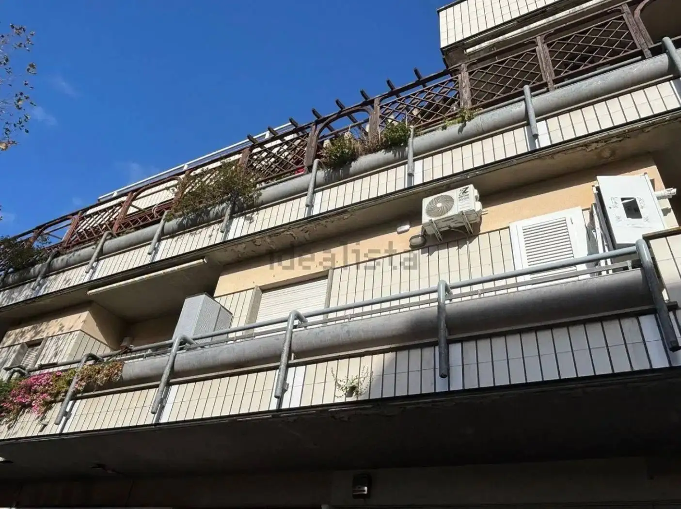 Appartamento in affitto a Nettuno