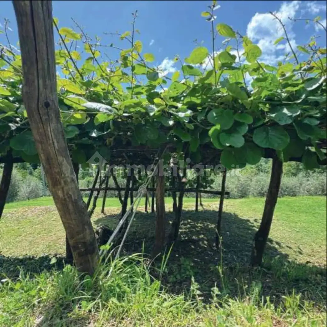 Villa unifamiliare via La Cavana No Number, Vergemoli, Fabbriche di Vergemoli - foto 2