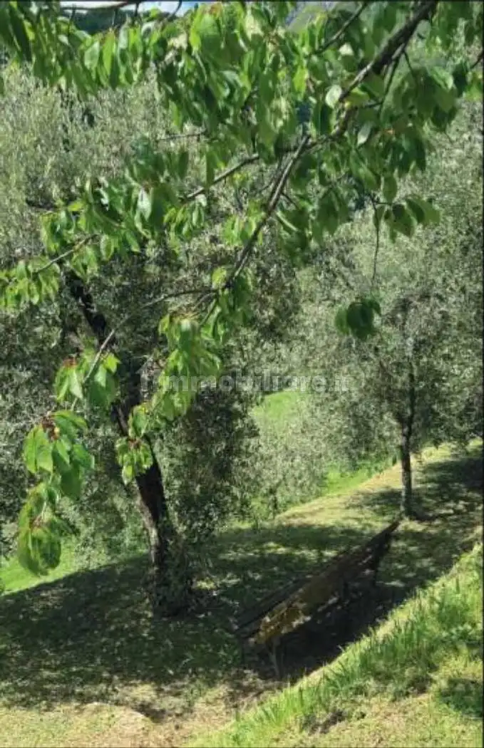 Villa unifamiliare via La Cavana No Number, Vergemoli, Fabbriche di Vergemoli - foto 3