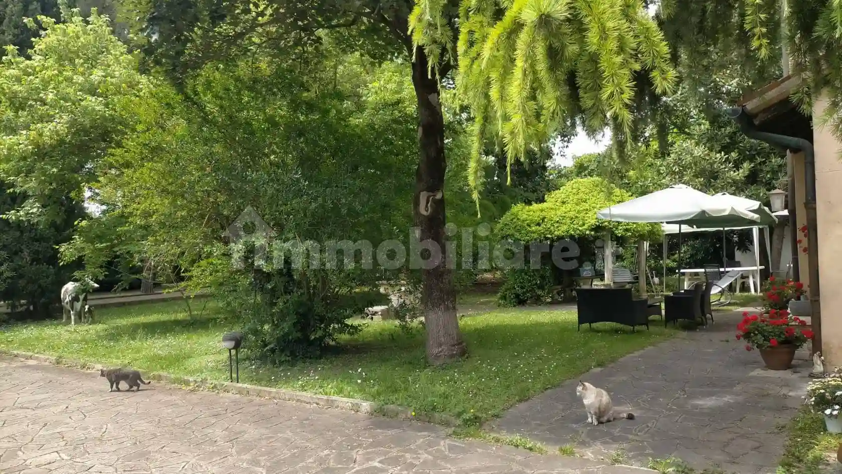 Rustico - Casale - foto 5