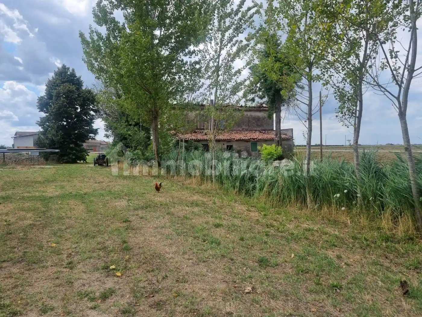 Rustico - Casale - foto 4