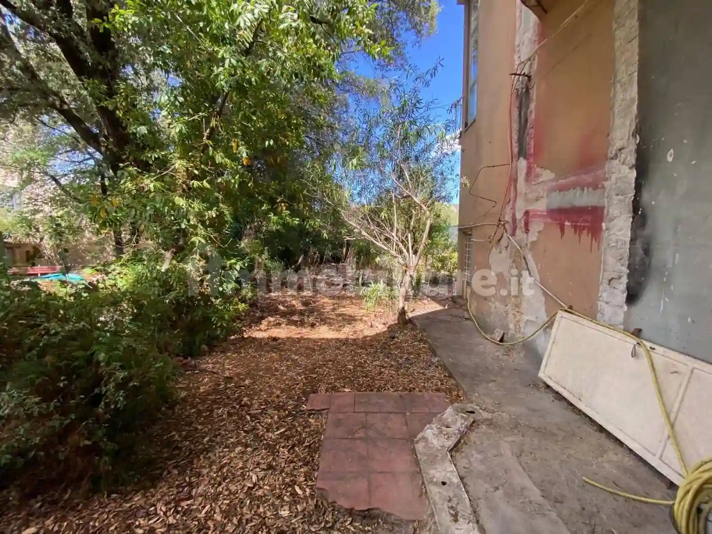 Palazzo - Edificio - foto 5