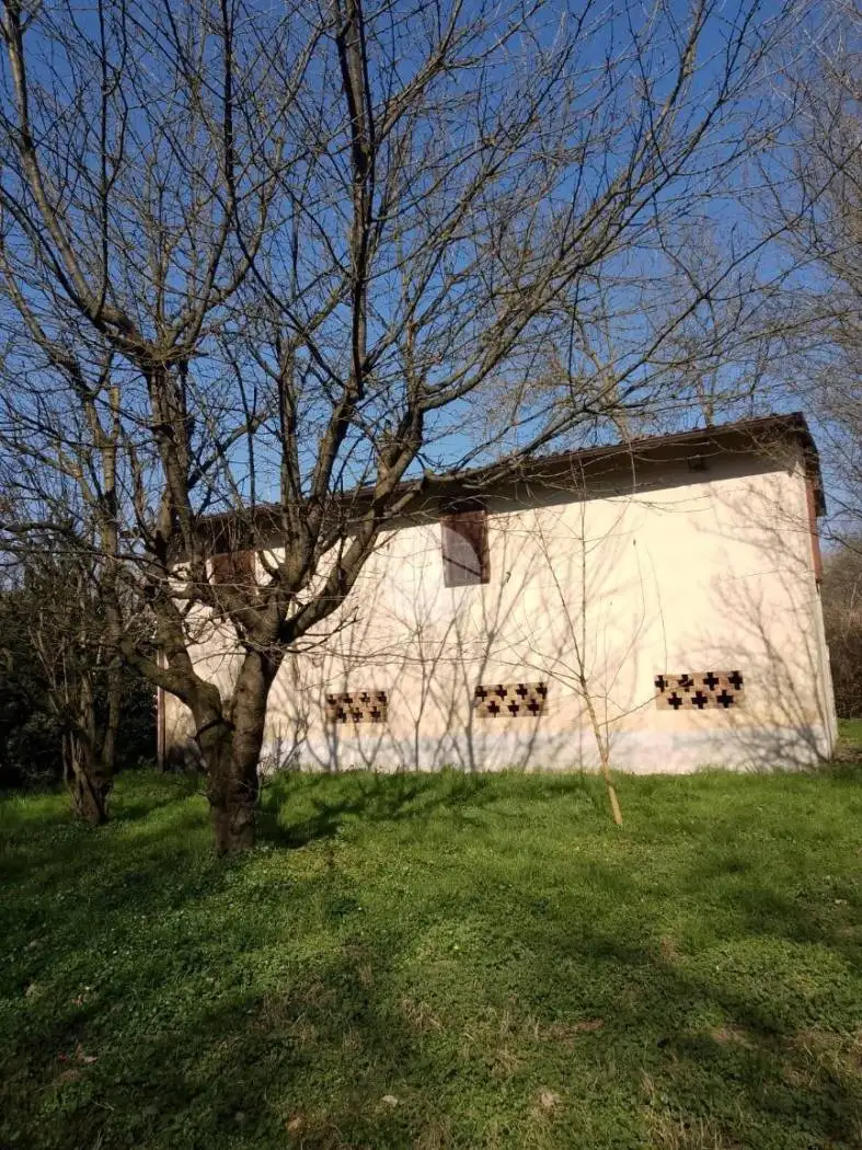 Rustico via Suardi, Bassignana - foto 2