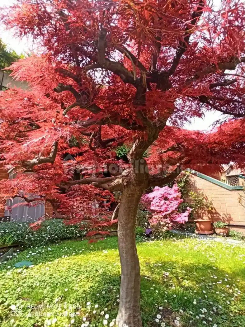 Villa a schiera via Pietro Canevari 7, Baggio, Milano - foto 3