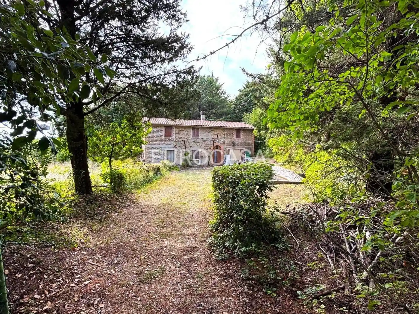 Rustico - Casale - foto 2