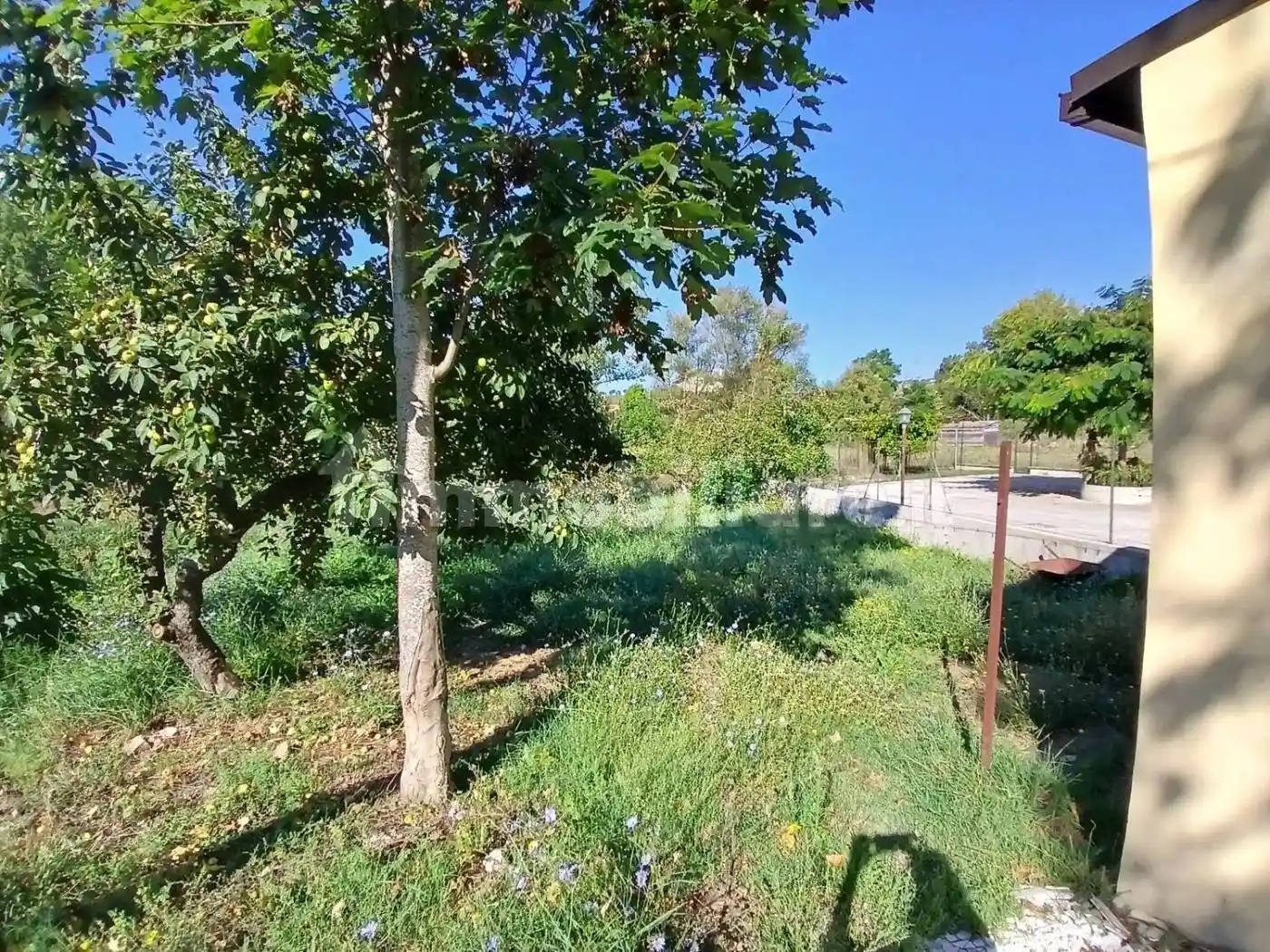 Villa unifamiliare Contrada Macchie, 19, Coste di Oratino, Calvario, Campobasso - foto 3