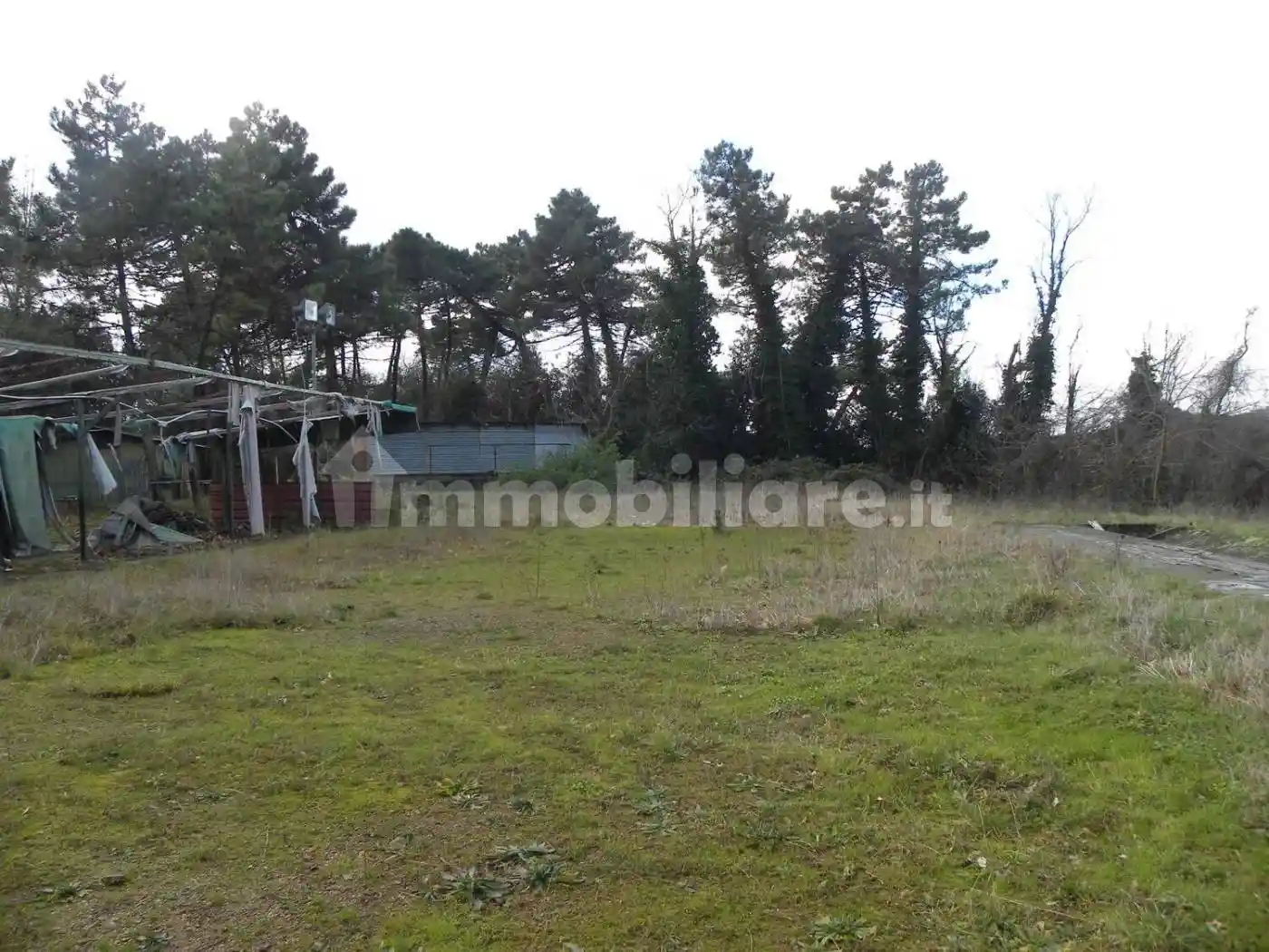 Palazzo - Edificio in Vendita - foto 4