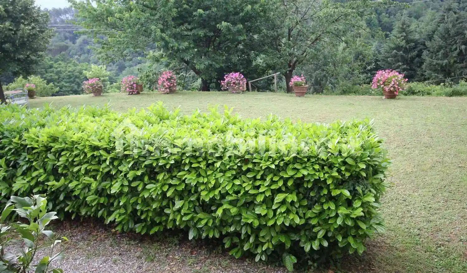 Cascina via Del Campaccio, 902, Fagnano - Meati, Lucca - foto 3