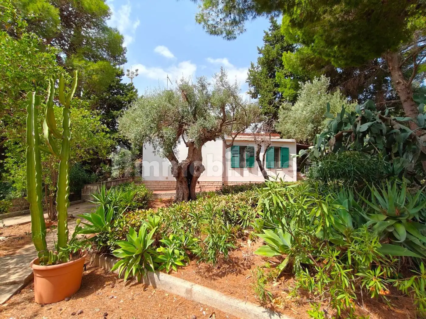 Villa in affitto a Siracusa
