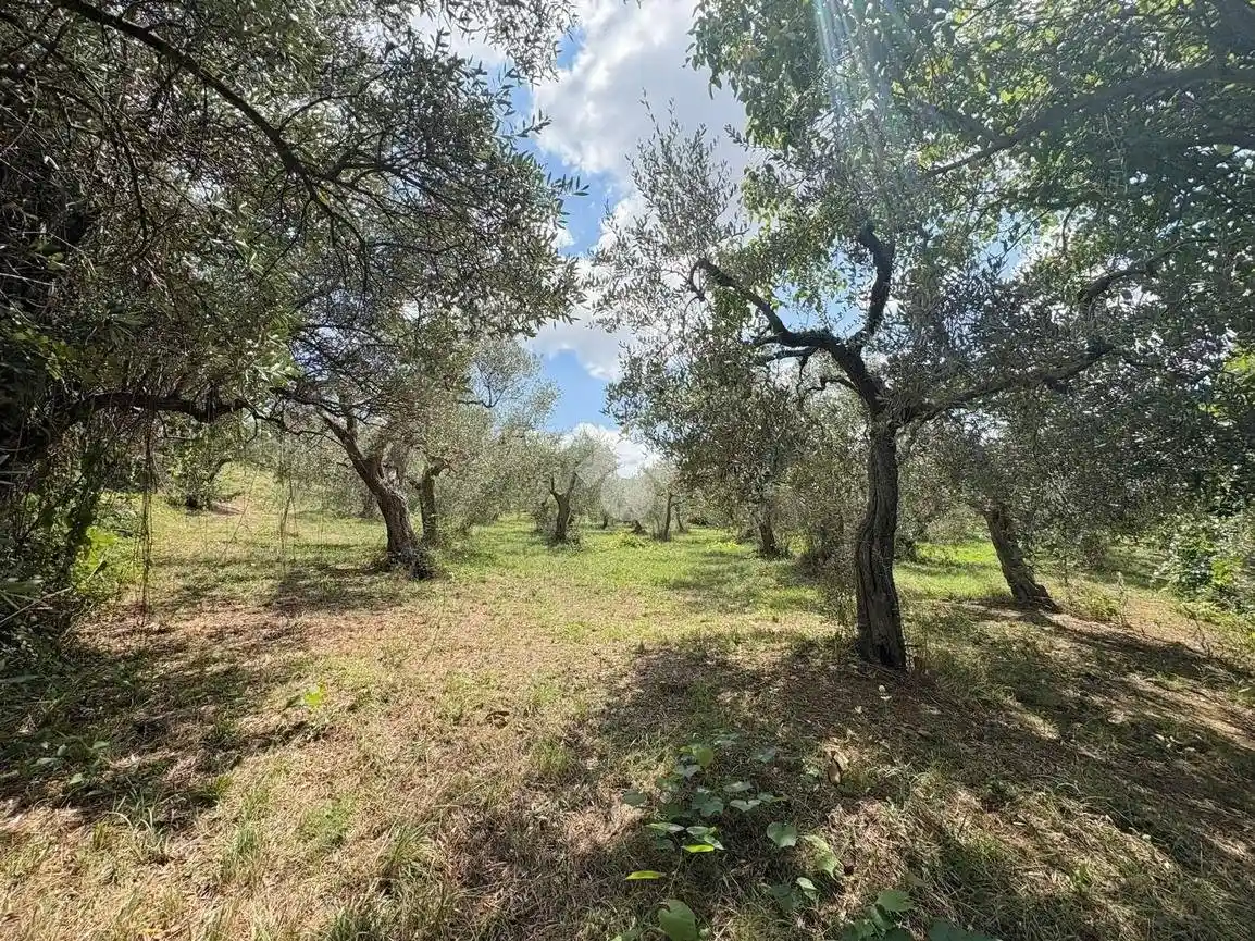 Rustico via Santa Liberata, Lanciano - foto 5