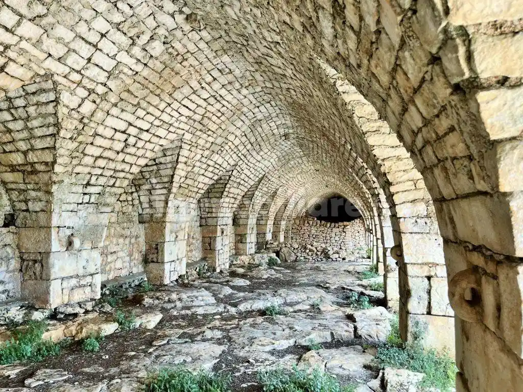 Masseria Contrada Tamburroni, Tamburroni, Grottone, Rosara, Ostuni - foto 2