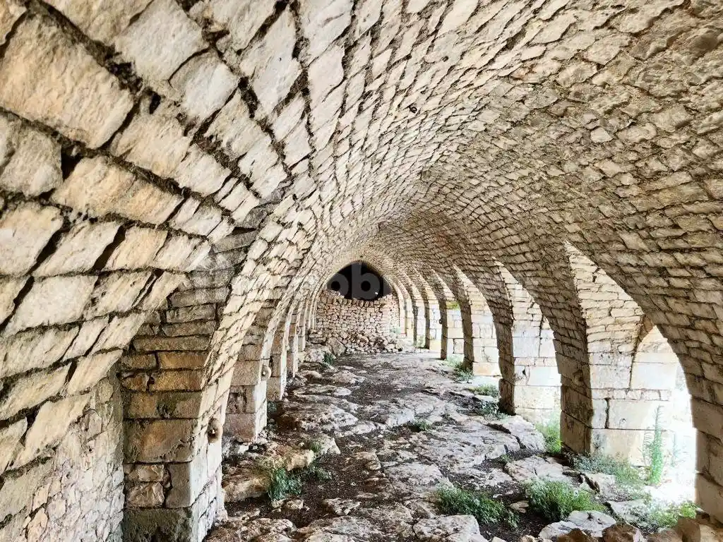 Masseria Contrada Tamburroni, Tamburroni, Grottone, Rosara, Ostuni - foto 3