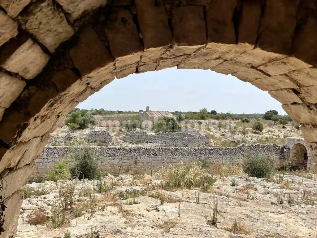 Masseria Contrada Tamburroni, Tamburroni, Grottone, Rosara, Ostuni - foto 4