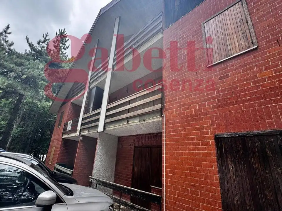 Appartamento in vendita a Celico